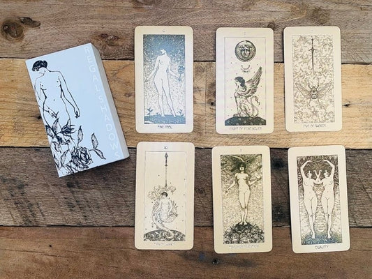 Regal Shadow Tarot Deck. Oracle Divination Tool, Unique Indie Occult Cards Beginner Rider Waite Tarot With Guidebook. Vintage Historical Art