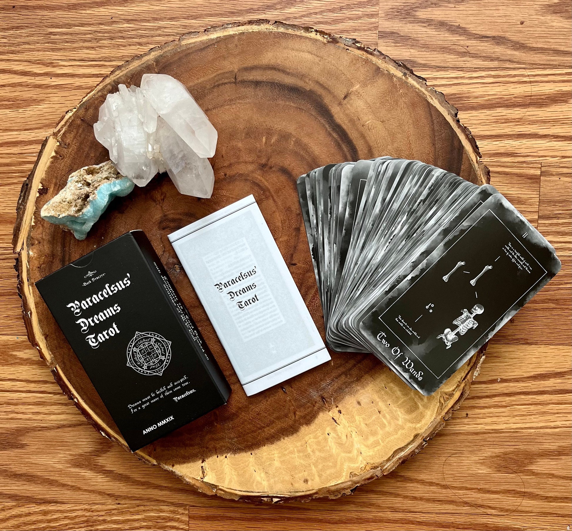 Paracelus Dreams Tarot Card Deck in Black, Rider Waite Tarot with Guidebook. Indie Occult Divination Cards, Taxicology Mortician Oddity Gift