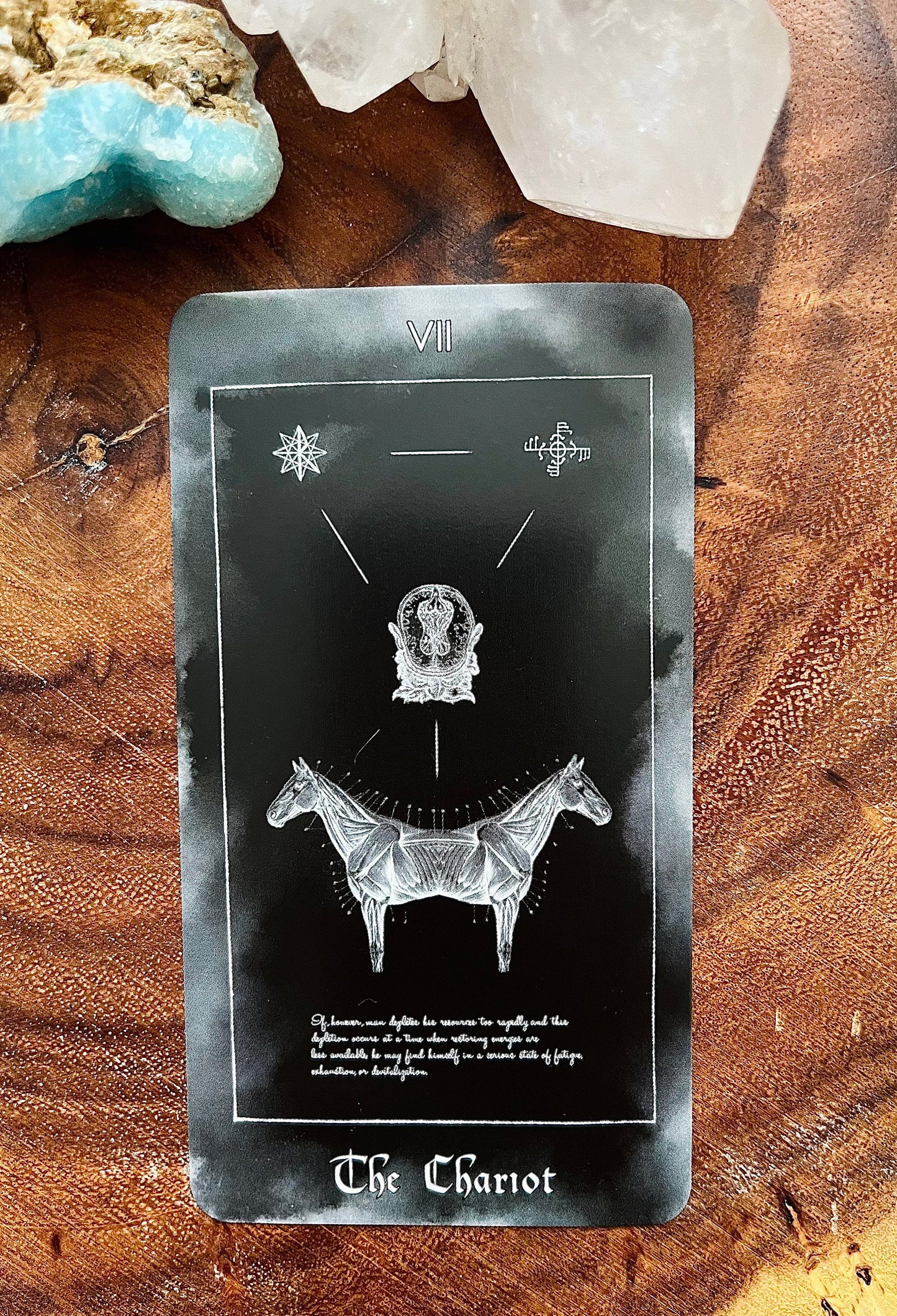 Paracelus Dreams Tarot Card Deck in Black, Rider Waite Tarot with Guidebook. Indie Occult Divination Cards, Taxicology Mortician Oddity Gift