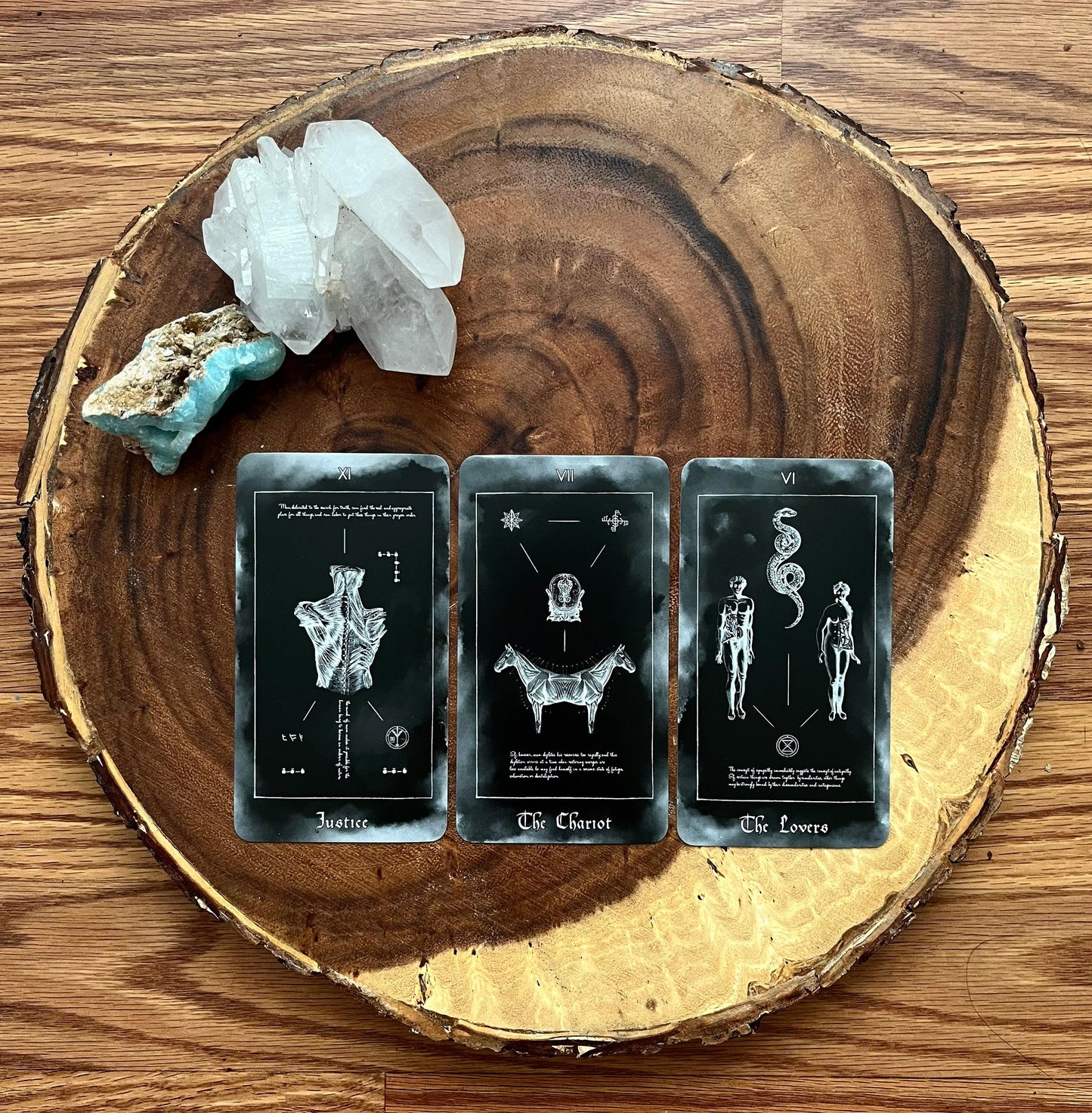 Paracelus Dreams Tarot Card Deck in Black, Rider Waite Tarot with Guidebook. Indie Occult Divination Cards, Taxicology Mortician Oddity Gift