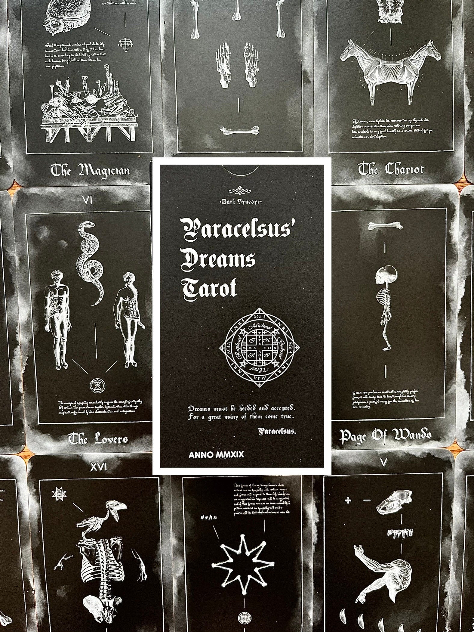 Paracelus Dreams Tarot Card Deck in Black, Rider Waite Tarot with Guidebook. Indie Occult Divination Cards, Taxicology Mortician Oddity Gift