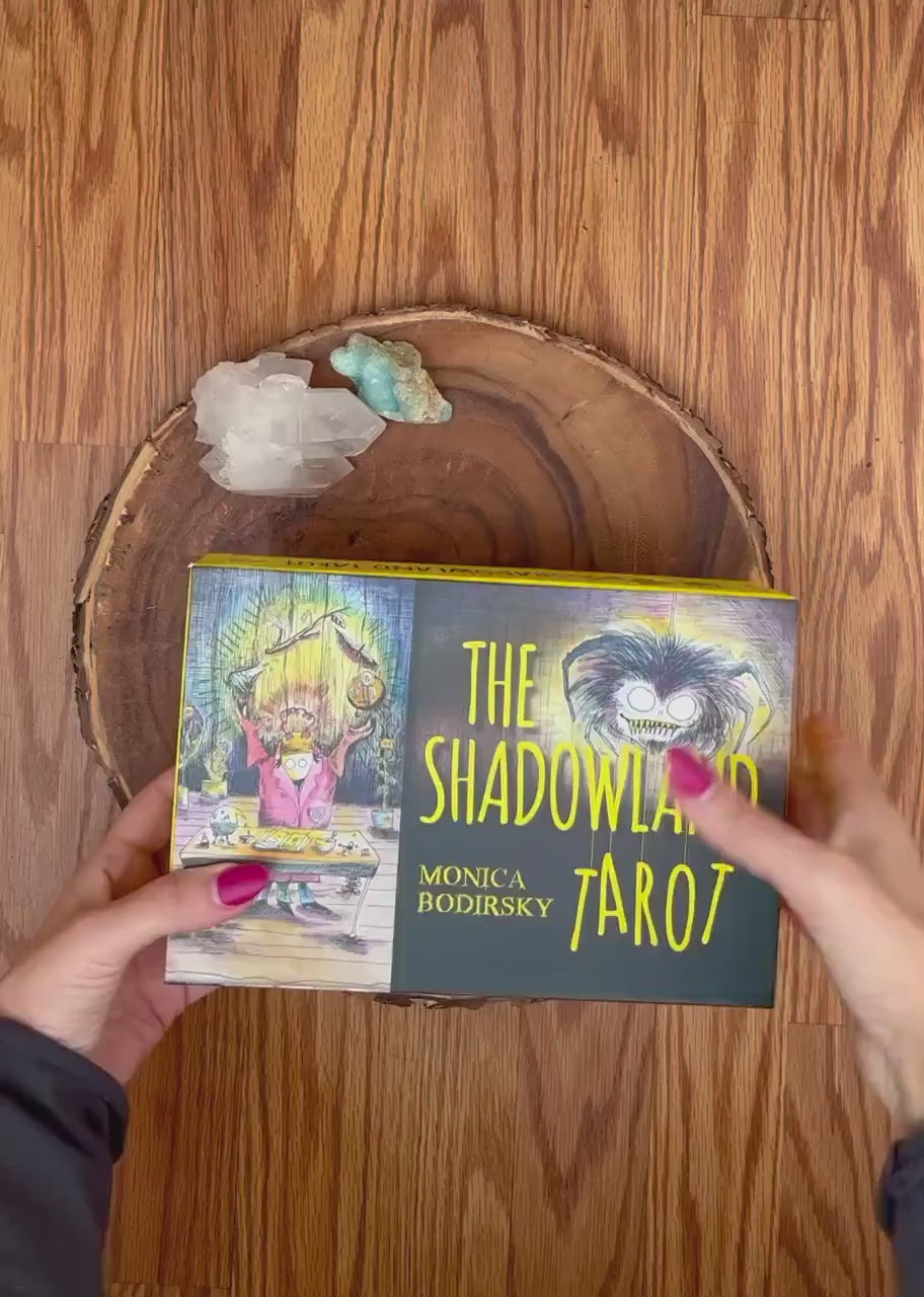 Shadowland Tarot Deck With Guidebook Rider Waite Tarot Beginner Shadow Work Book, Divination Tool, Unique Odd Occult Oracle Cards Gift Box